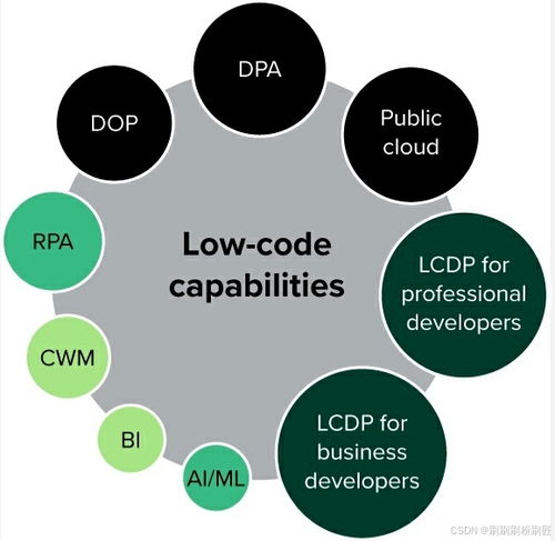 低代碼平臺(tái)的崛起 提升開(kāi)發(fā)效率的新利器